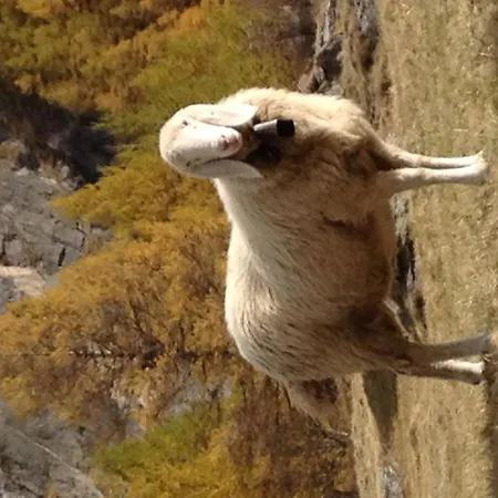 Evelyne By Interhome Διαμέρισμα Saas Fee