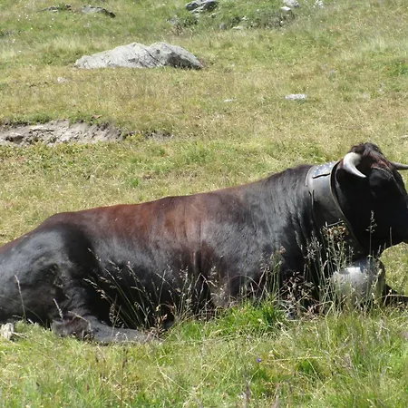 Evelyne By Interhome Apartman