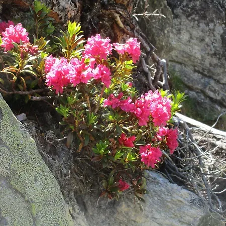 Διαμέρισμα Evelyne By Interhome