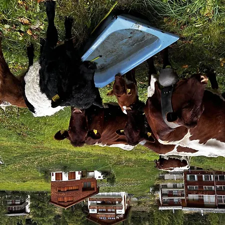 Evelyne By Interhome Διαμέρισμα *